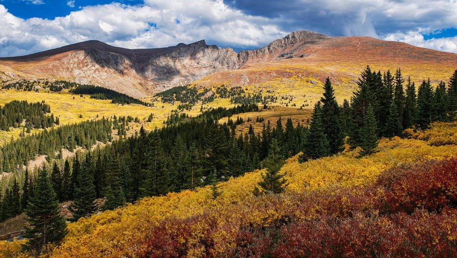 Andrews Arboretum, United States